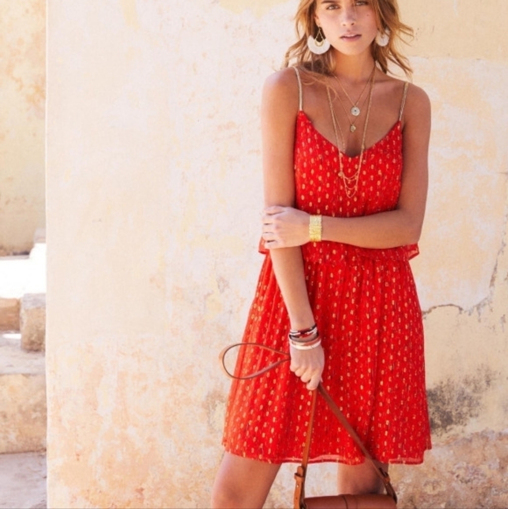 Sezane Ashley Dress in Printed Coral Traits size 36 NWT
